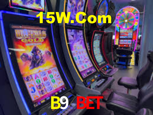 Experimente o Login Seguro Premium no B9 Bet